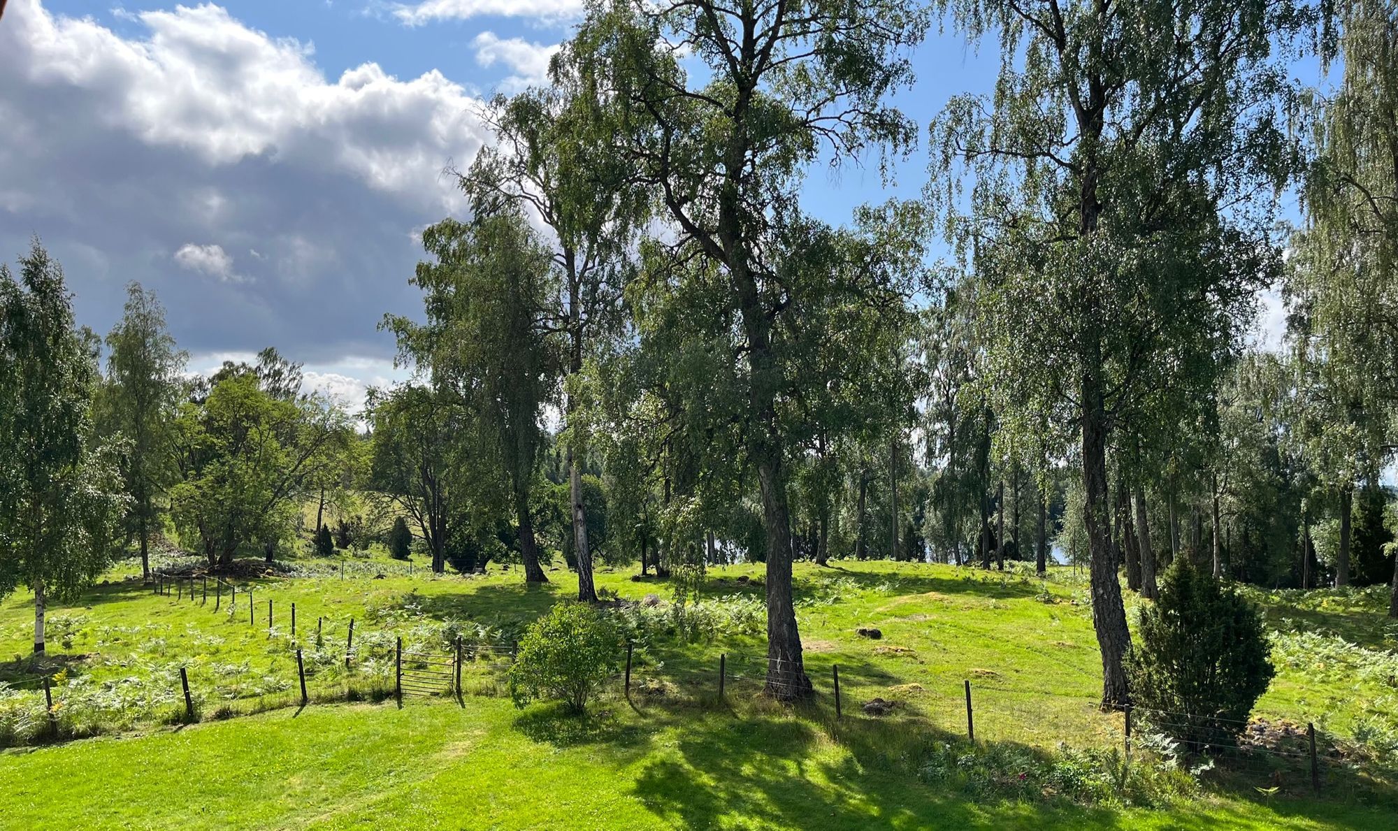 Stort hus i Småland – bild 3 av 24
