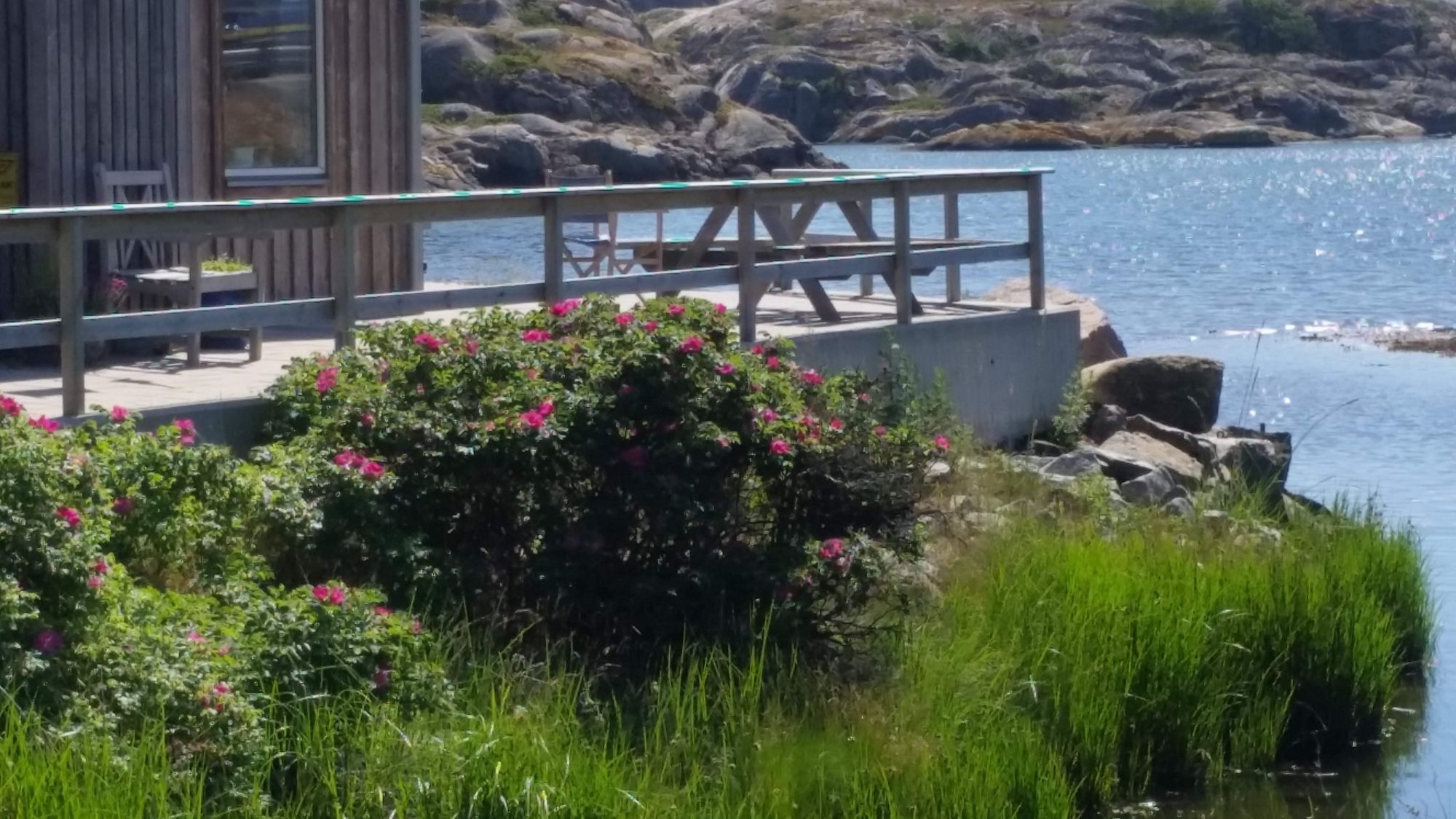 Liten stuga i Bleket på Tjörn uthyres – bild 18 av 24