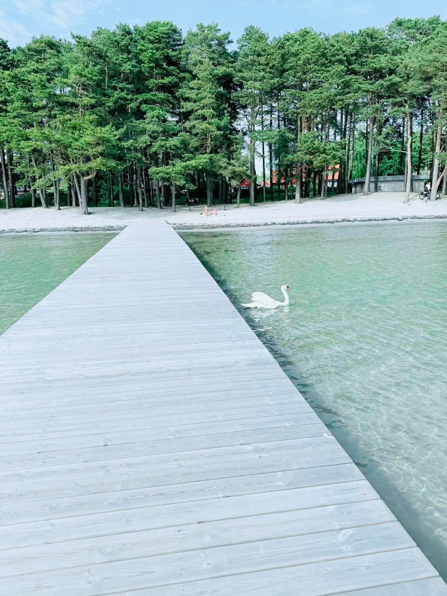 Rymlig gästbostad 3 sovrum vid havet och naturen