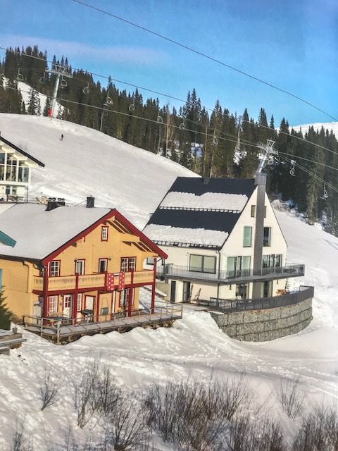 Åre Tegefjäll - ski in-ski out lägenhet
