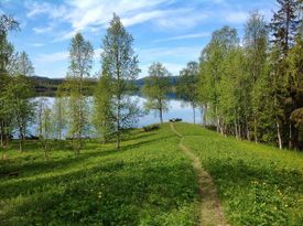 Lakeside cottage in Jormvattnet