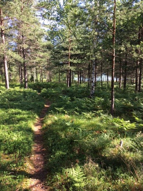 Havsnära nybyggd stuga med roddbåt. – bild 2 av 21