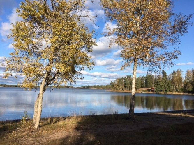 Havsnära nybyggd stuga med roddbåt. – bild 5 av 21