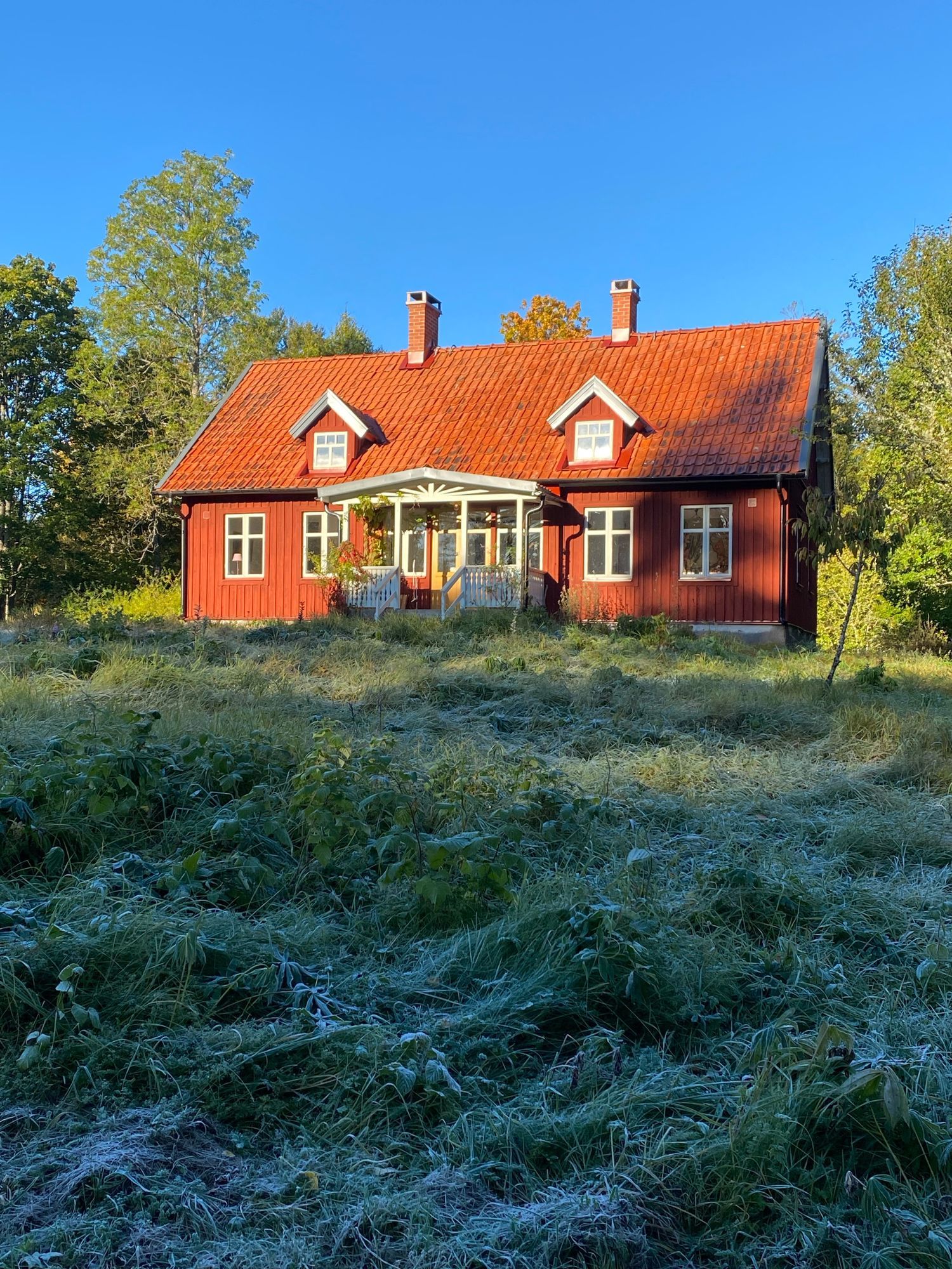 Skogsgård – bild 2 av 24