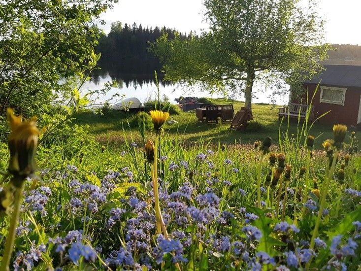 Mysig stuga med sjötomt på småländska höglandet – bild 3 av 24