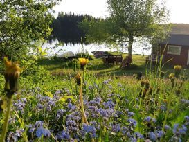 Mysig stuga med sjötomt på småländska höglandet