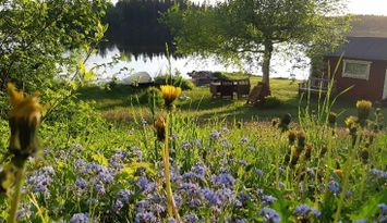 Mysig stuga med sjötomt på småländska höglandet