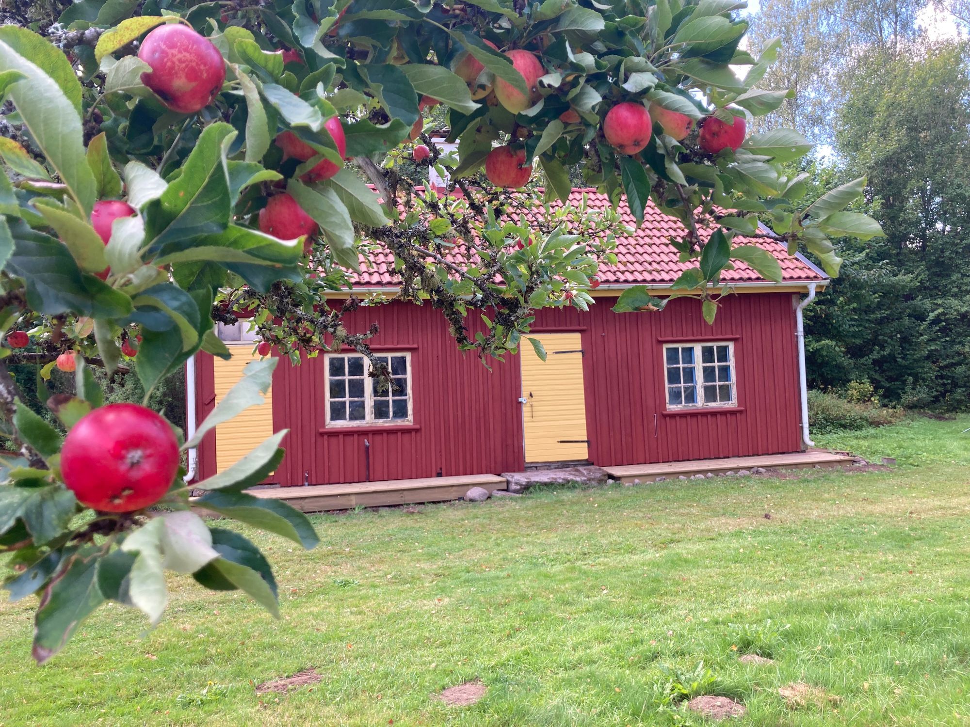 Stor villa nära Sämsjön – bild 21 av 24