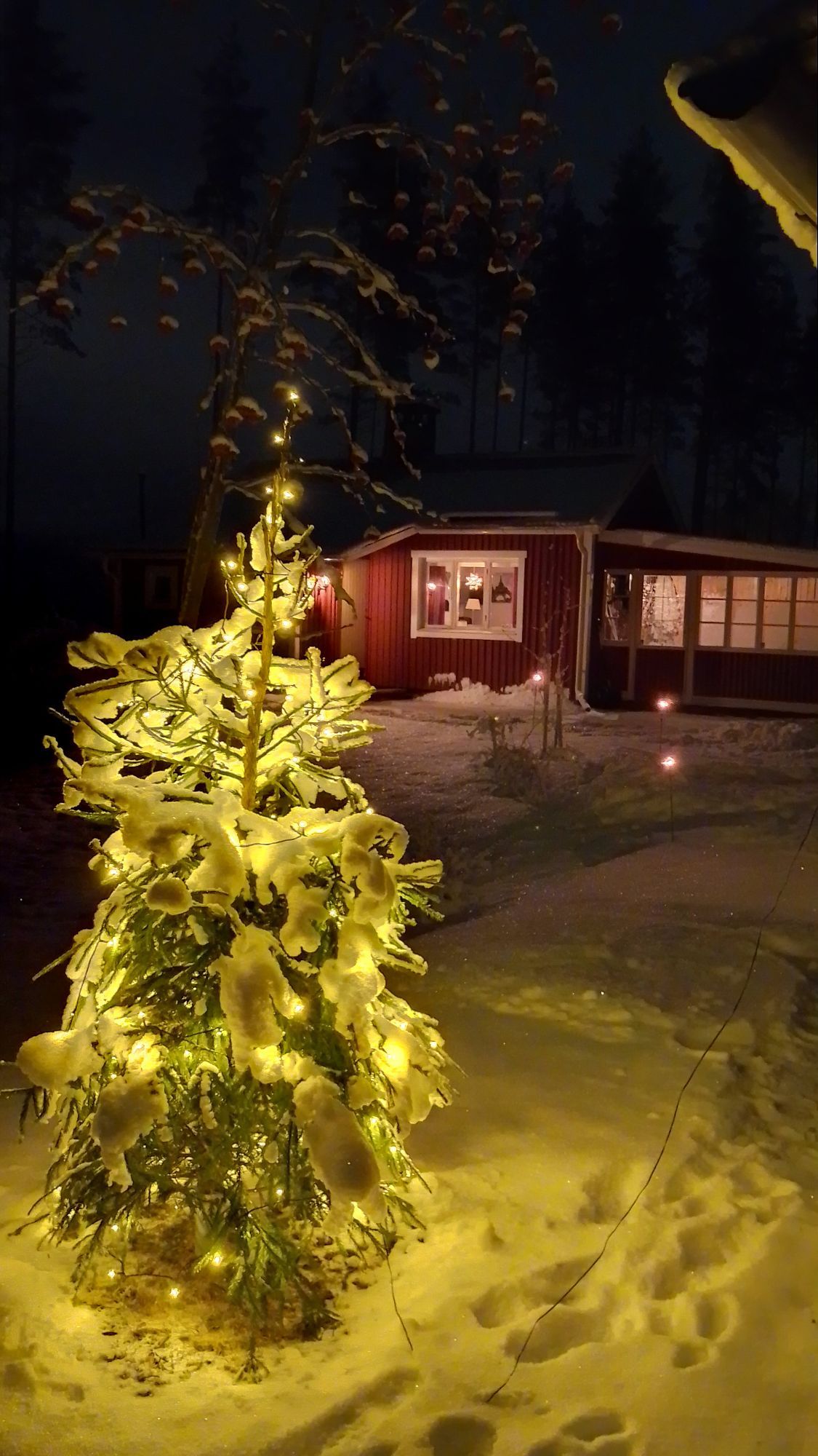 Allergivänlig stuga i skogen med nära till allt – bild 20 av 21