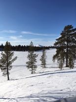 Stuga i vackra Härjedalsfjällen vecka 12!