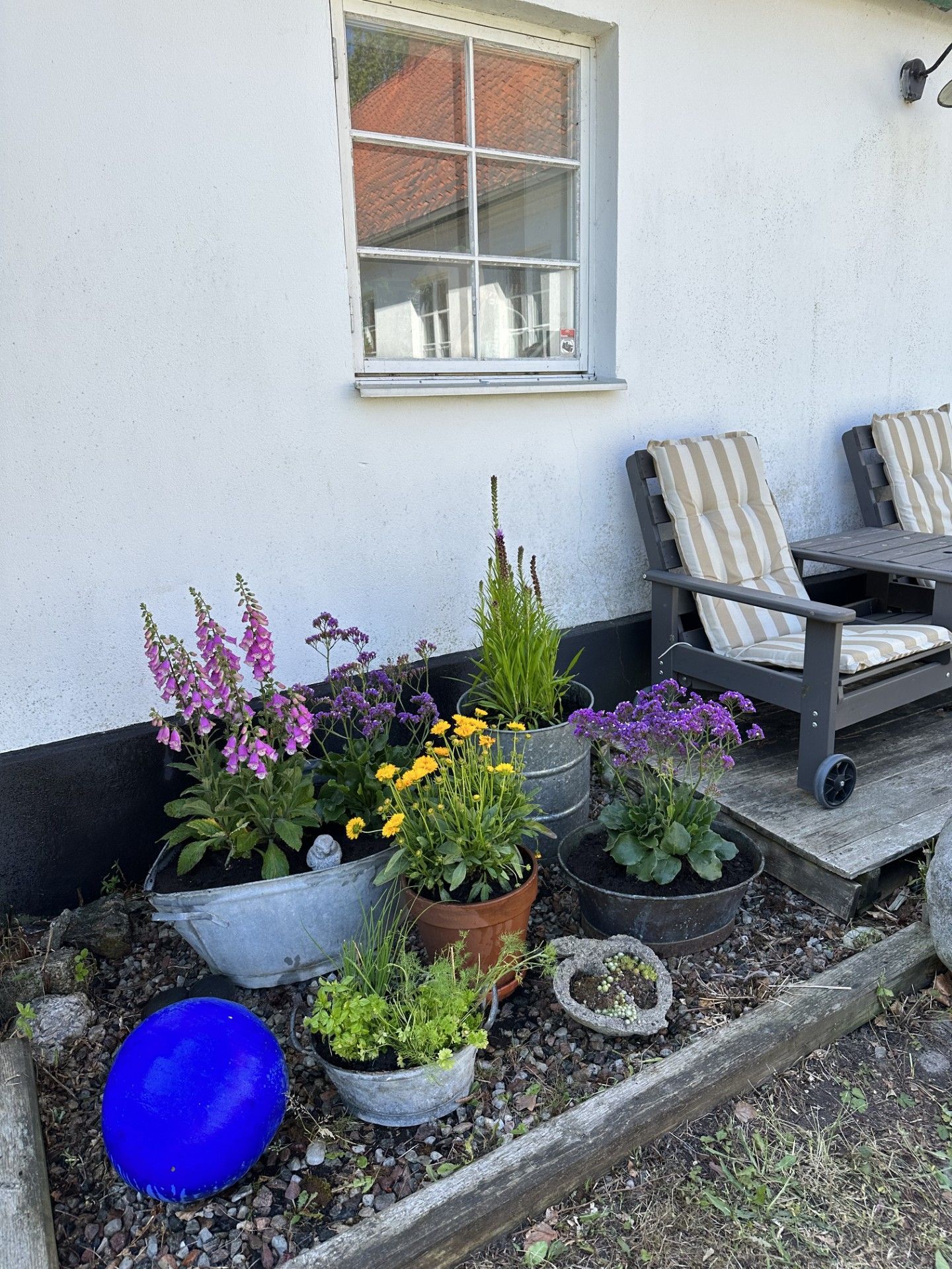 En gårdsdröm invid Sveriges sydligaste spets – bild 7 av 24