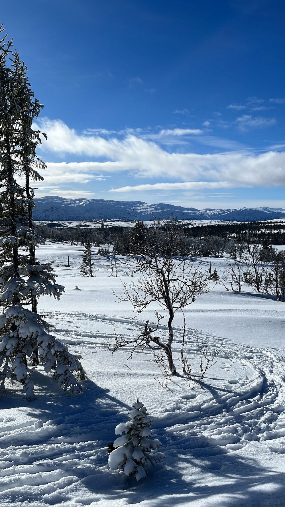 Nybyggd fjällstuga i Edsåsdalen – bild 16 av 24