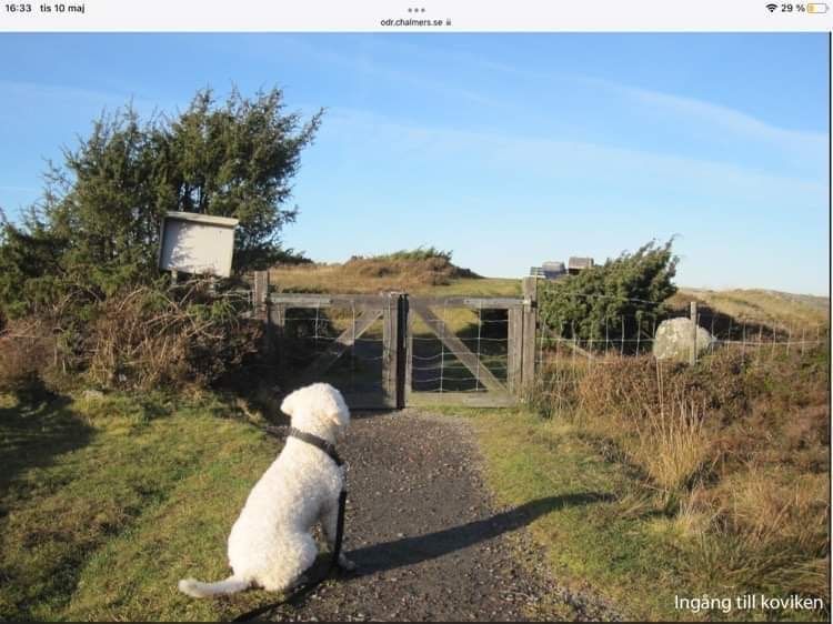 Härligt sommarhus på Onsalas sydspets, nära havet – bild 17 av 24