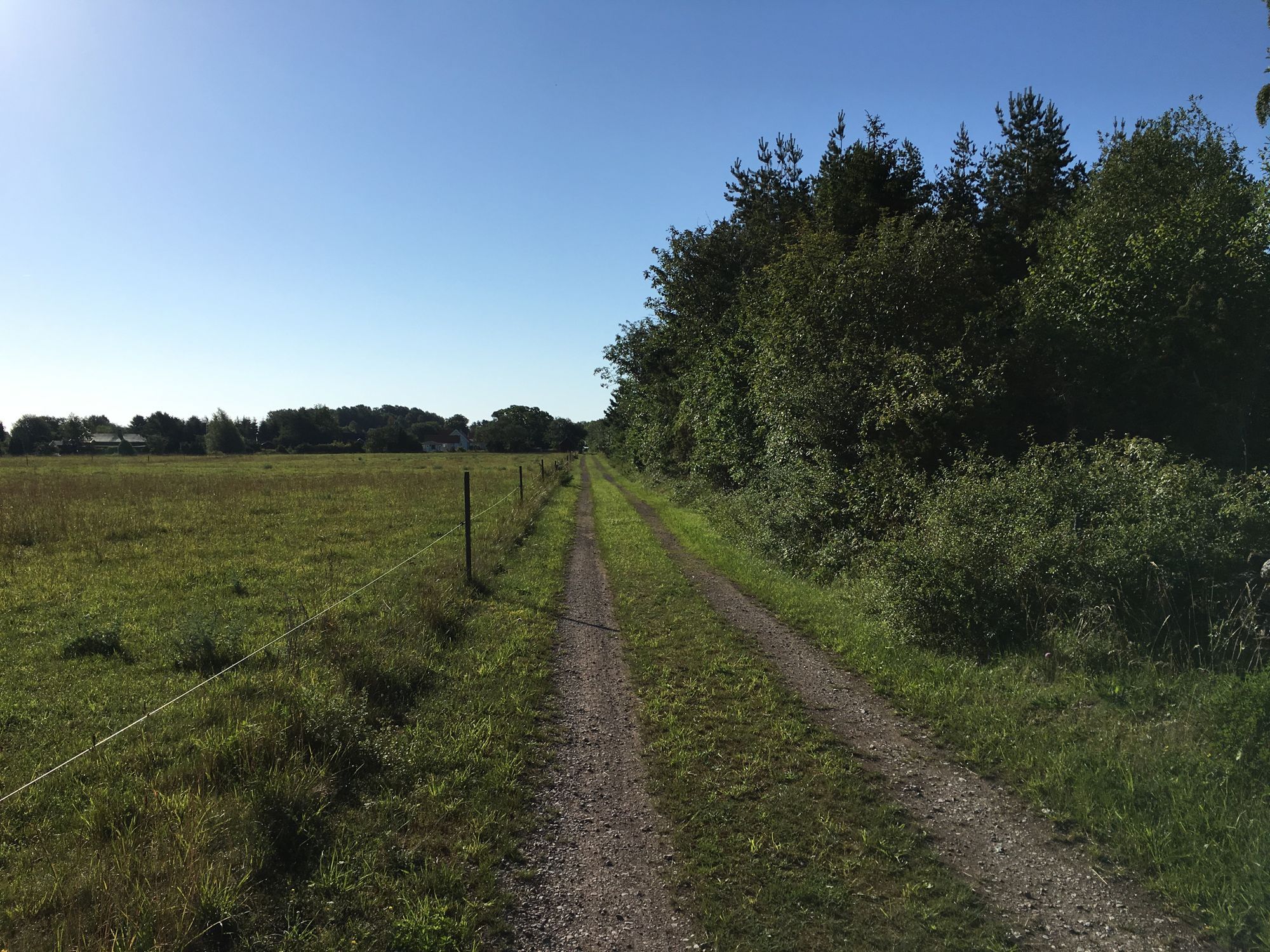 Mysig stuga nära havet i Kesnäs Udde, Norra Öland – bild 15 av 23
