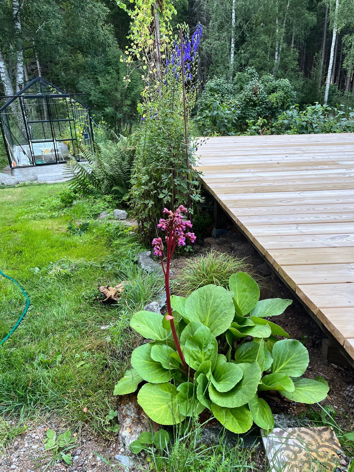 Ett torp i Sörmland med karaktär – bild 4 av 24