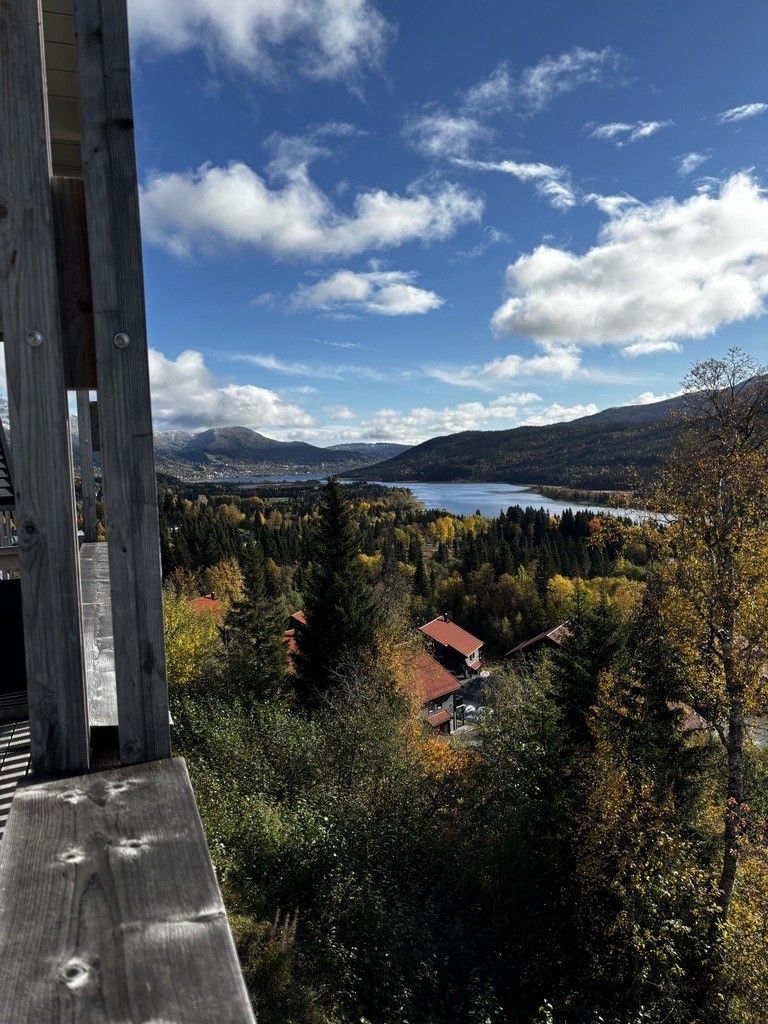 Ski-in ski-out Åre med fri utsikt över Renfjället – bild 11 av 18