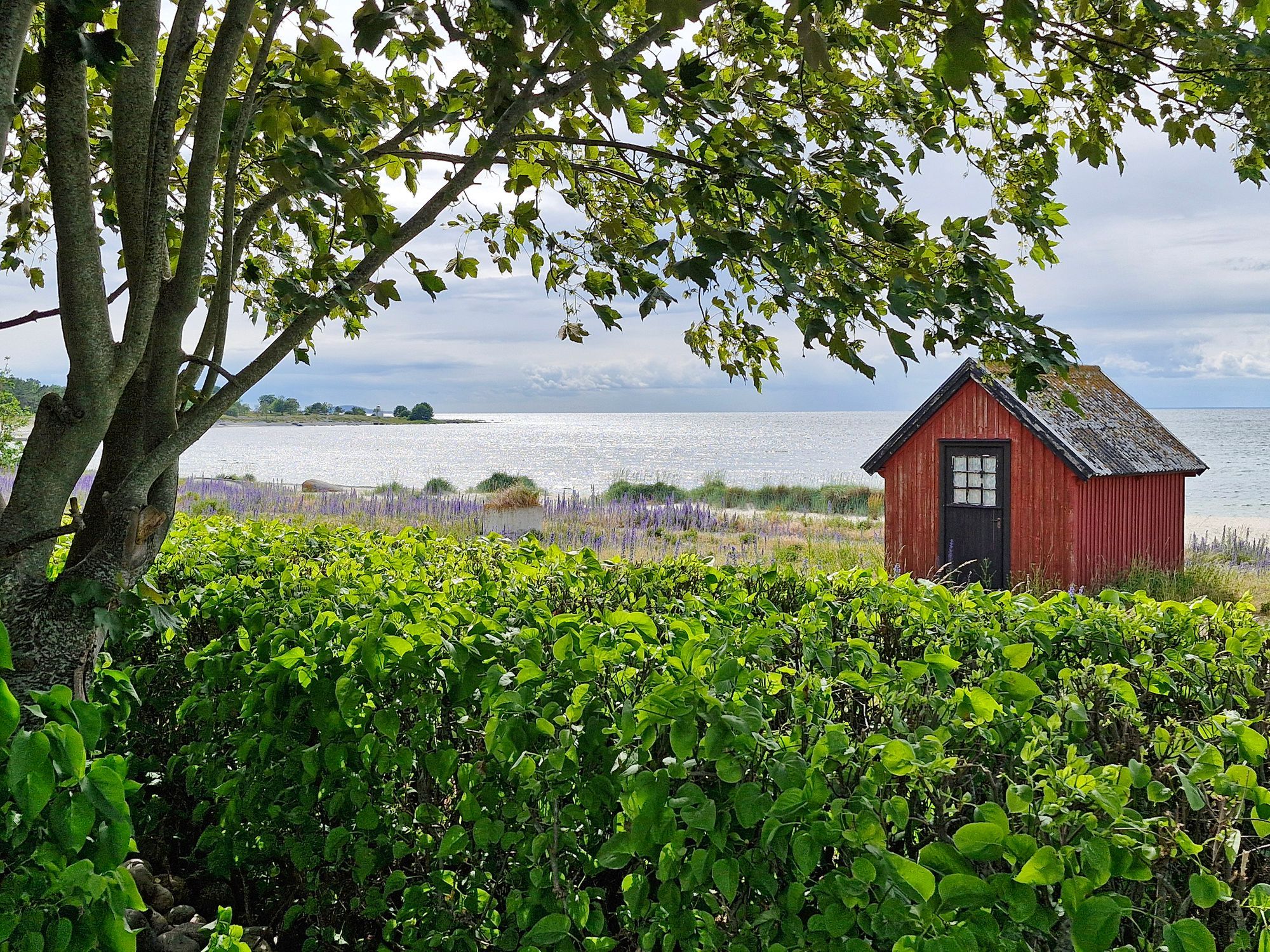 Första parkett; 50 m till badstrand – bild 10 av 24