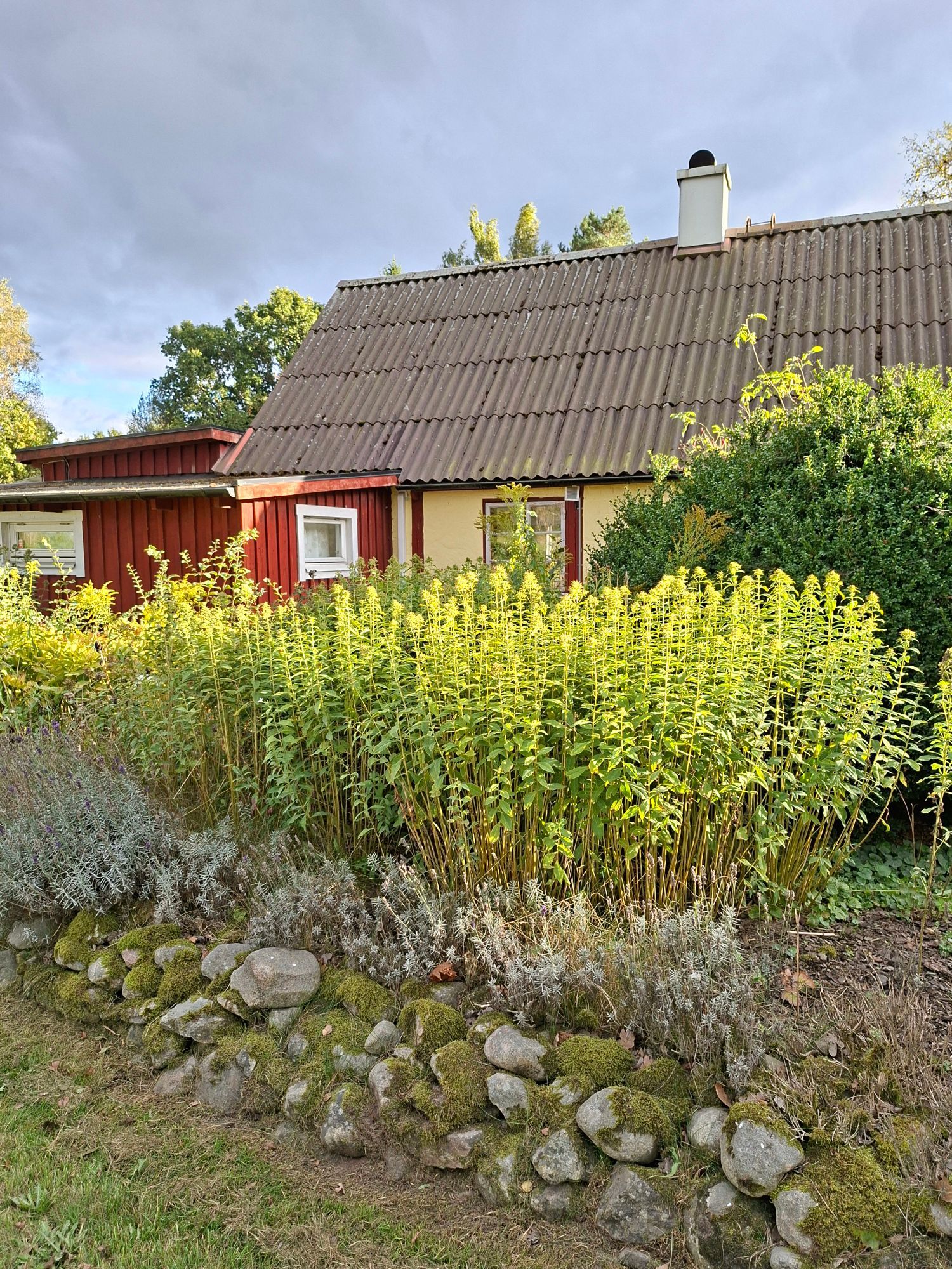 Mysigt litet hus på landet. – bild 3 av 24