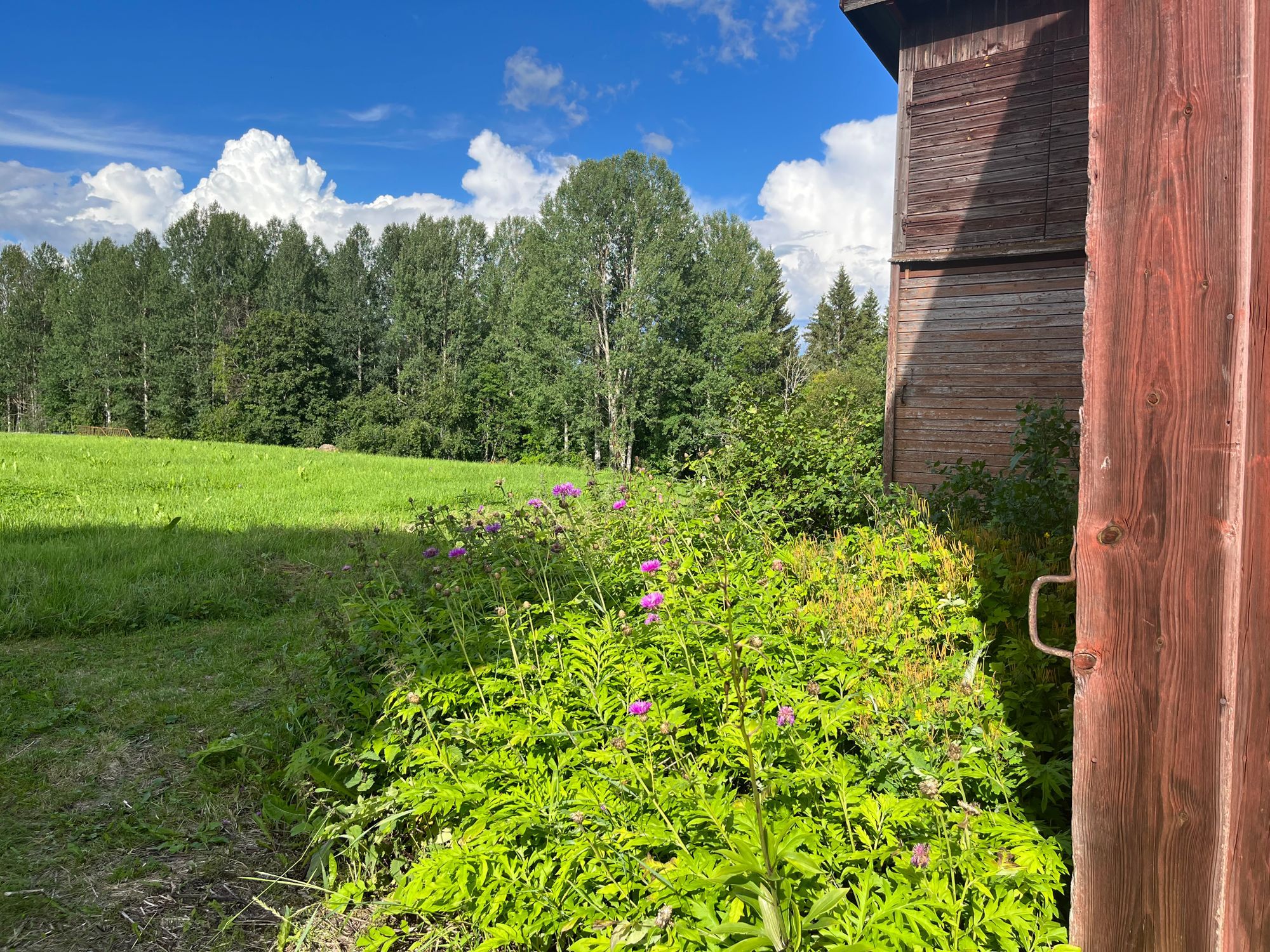 Charmig dalagård – bild 4 av 13