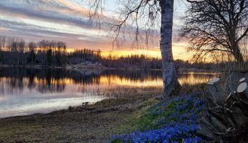 Hus med egen strand och Roddbåt