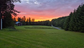Skogsidyll i Jämtland - natur, lugn