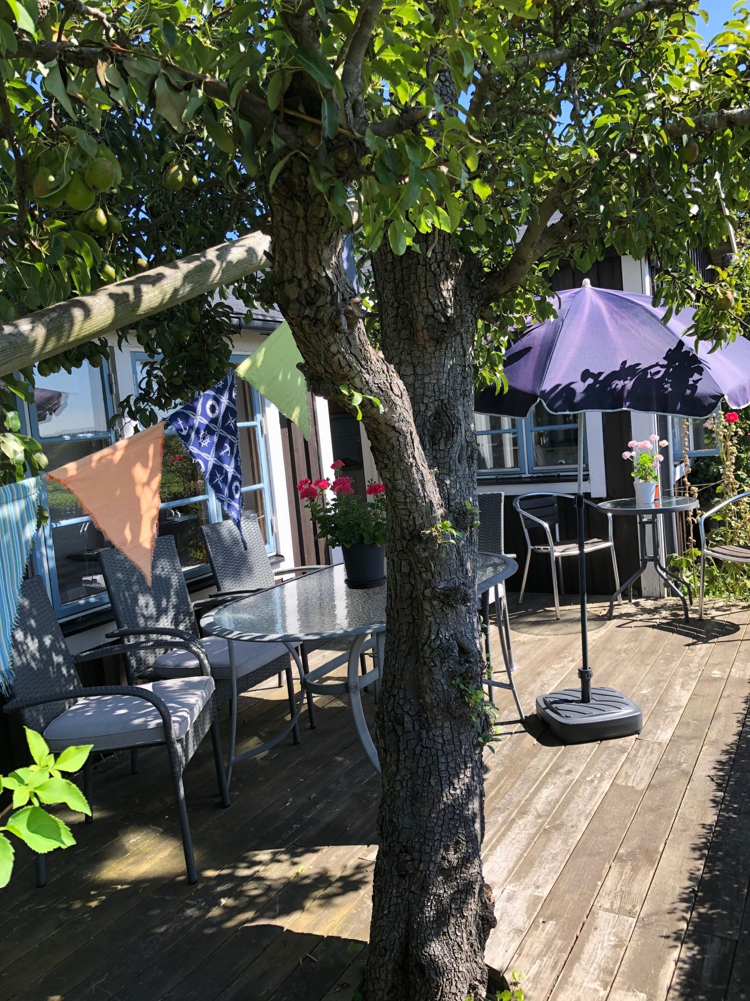 Liten go´stuga nära Mölle – bild 14 av 14