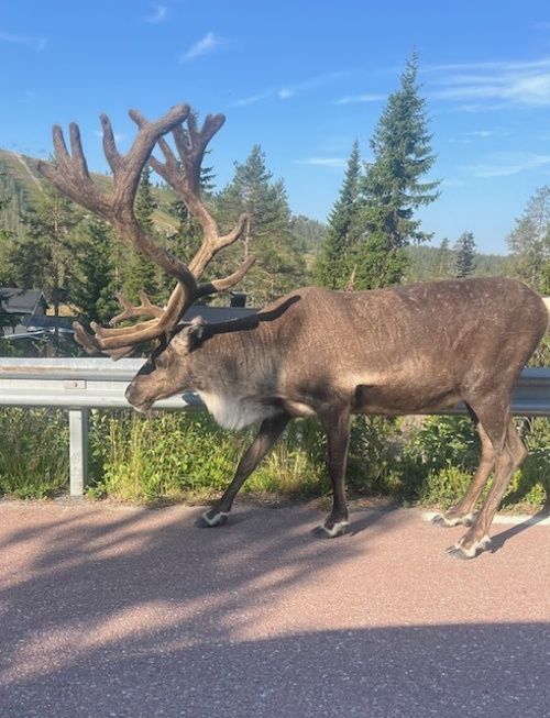 Mysig nyrenoverad stuga i Fjätervålen. – bild 3 av 14