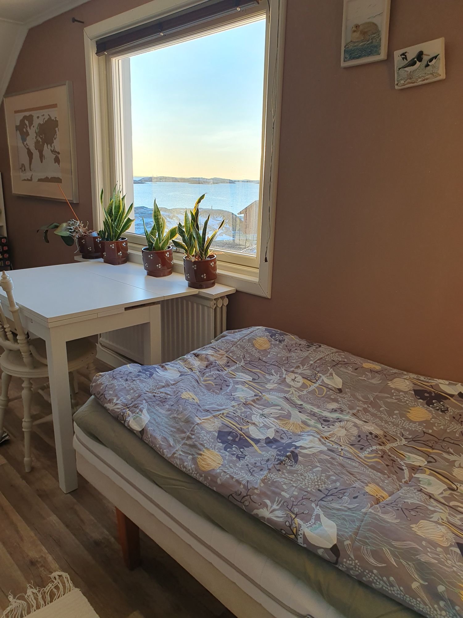 Hus vid havet – bild 10 av 18