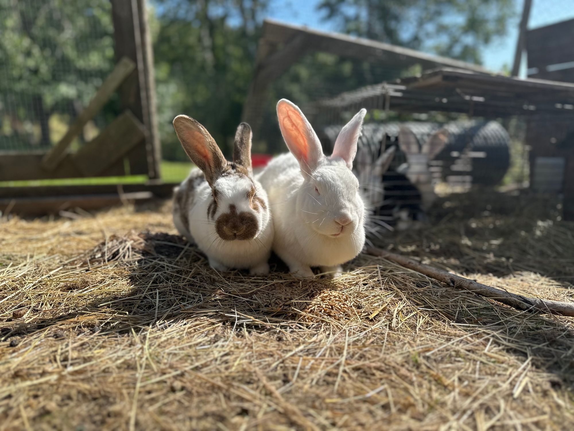 Gästhus i naturnära läge. – bild 9 av 24