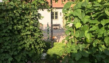 Välkommen till Fridbo i Beddinge