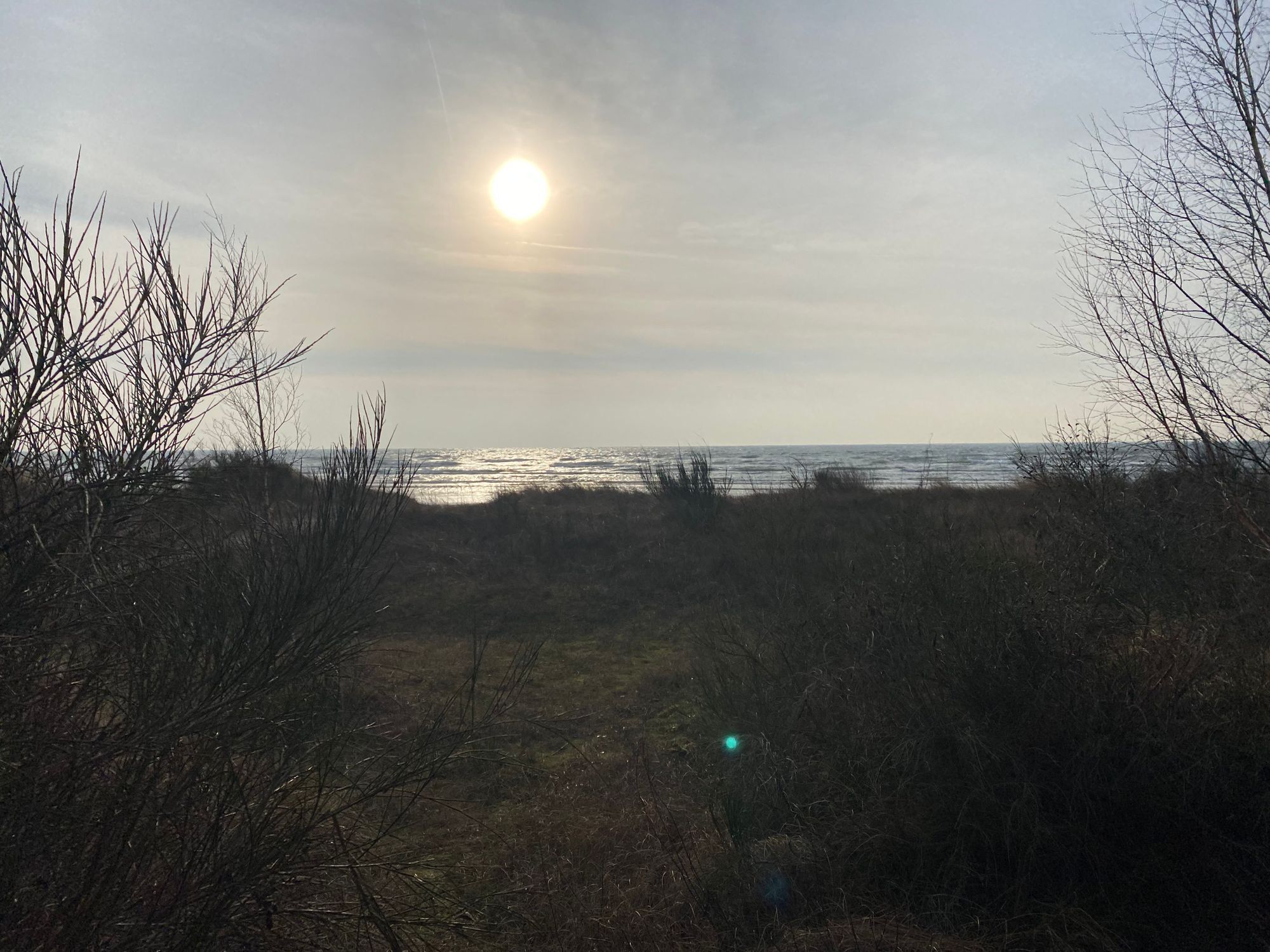 Stuga med stor strandnära tomt utanför Ystad – bild 15 av 17