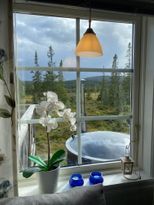 Fjällvandra, cykla eller fiska, Vemdalsskalet