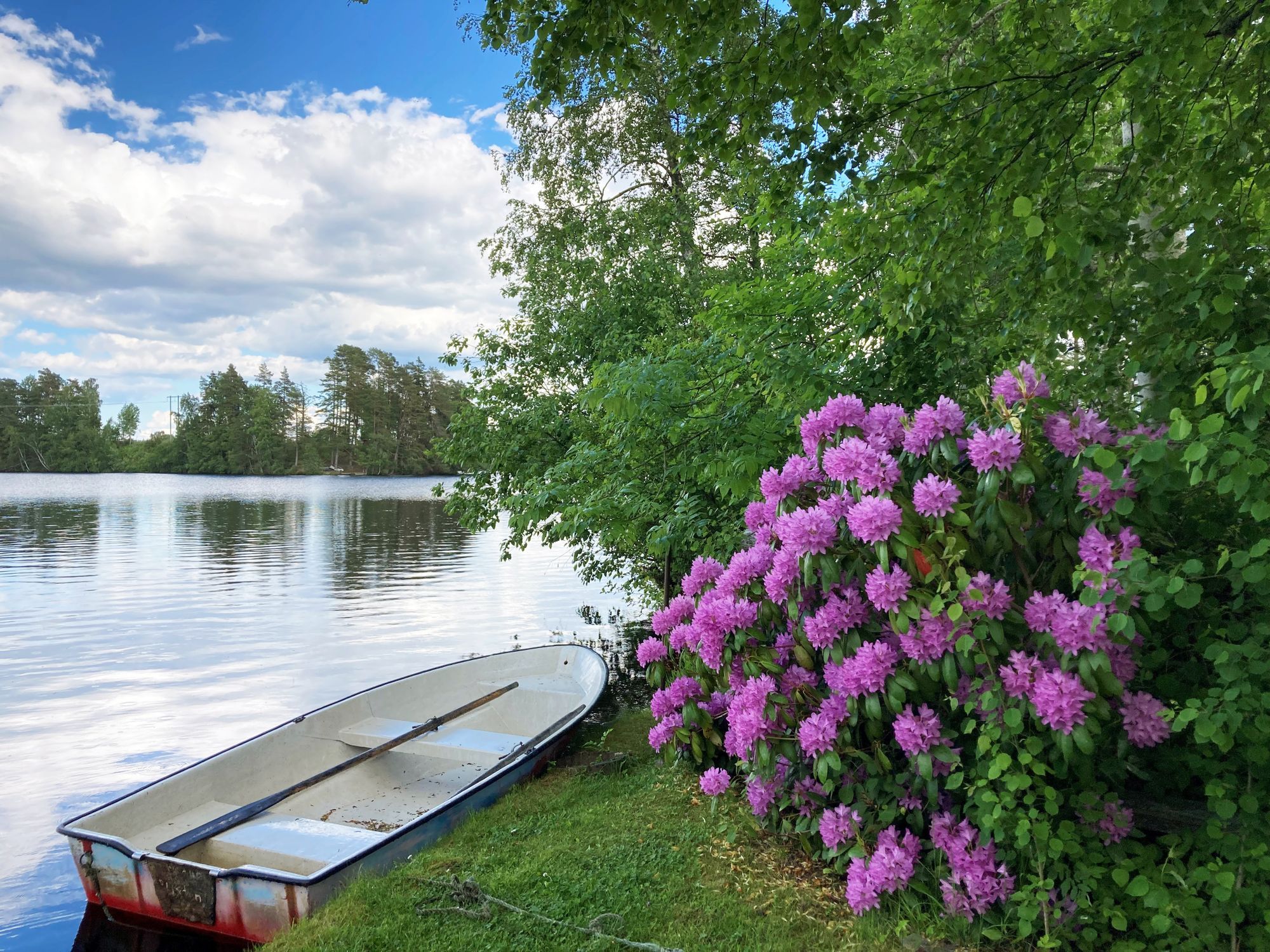 Härlig stuga med panoramautsikt över sjön |SE07027 – bild 12 av 20