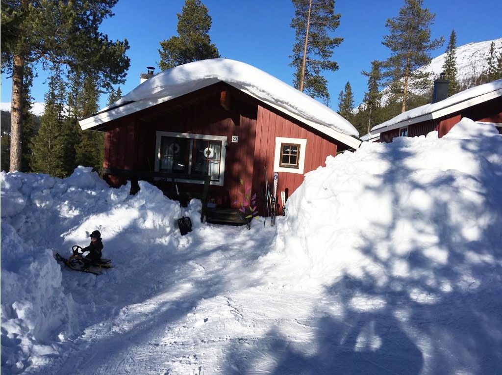 Stuga i Höglekardalen/Bydalsfjällen uthyres – bild 3 av 22