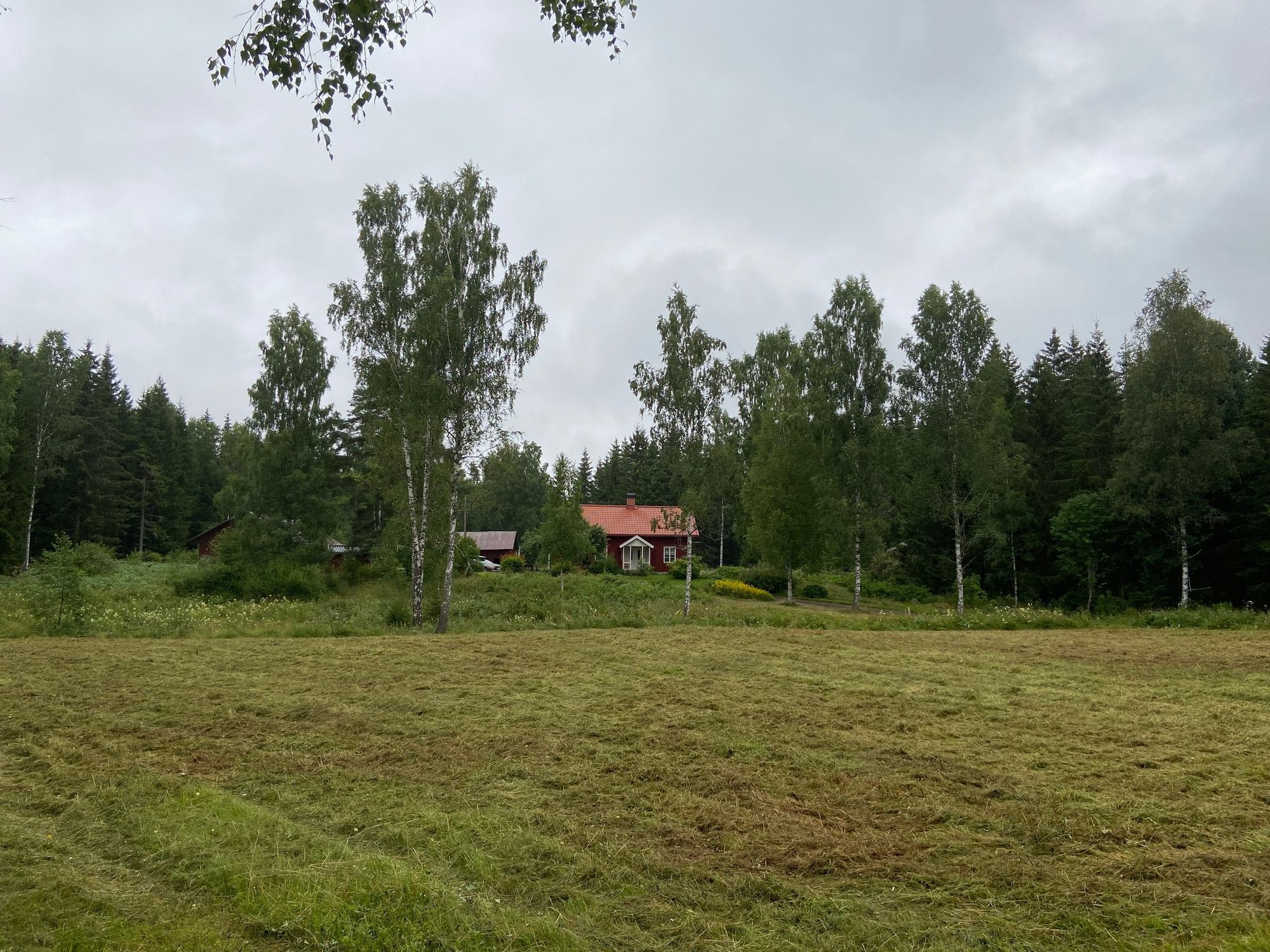 Ostörd idyll på gammal mindre gård – bild 2 av 19
