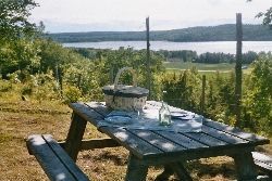 Bo på lantgård nära sommarland o trandansen – bild 19 av 23