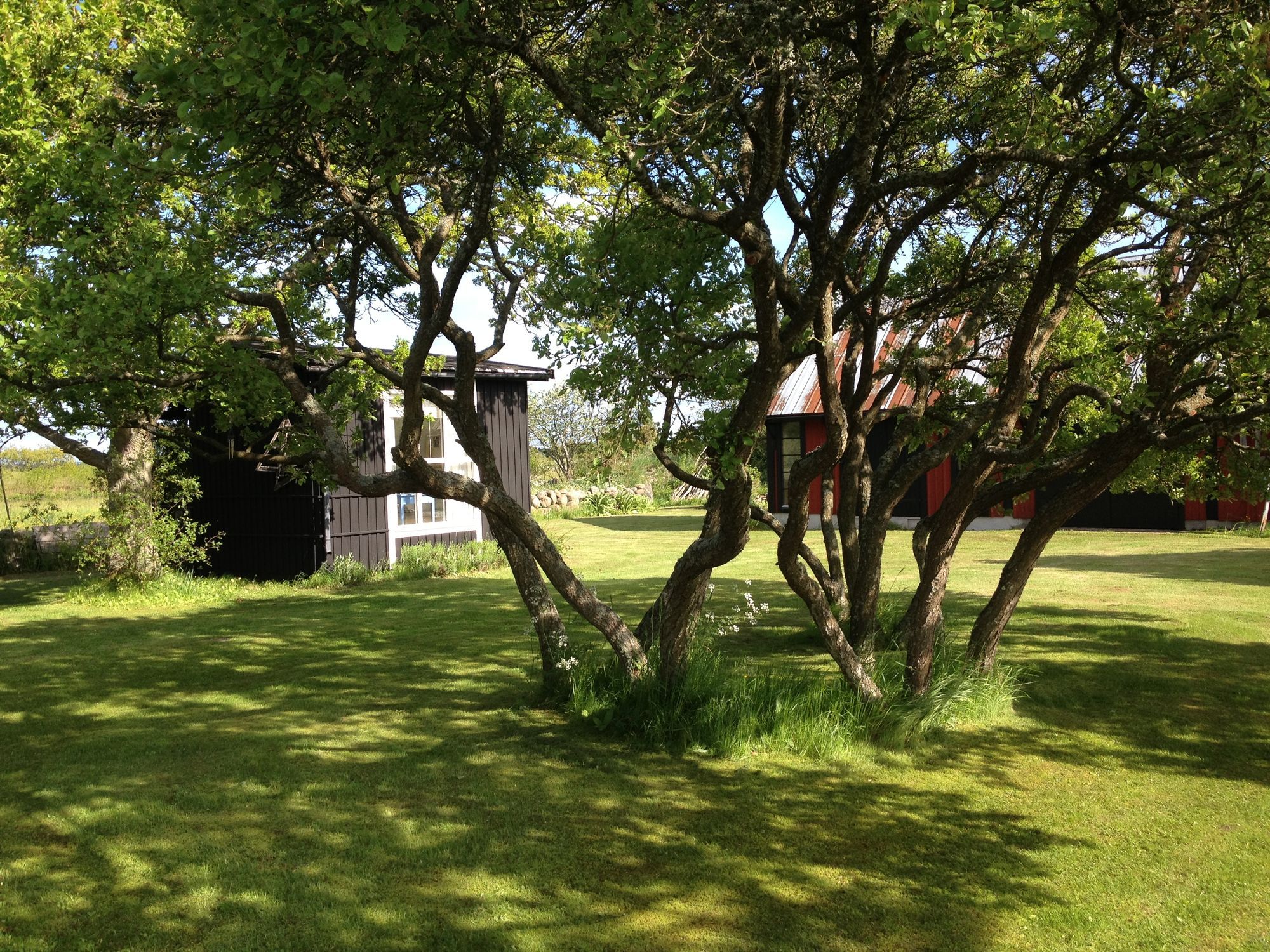 Paradis uthyres – bild 14 av 16