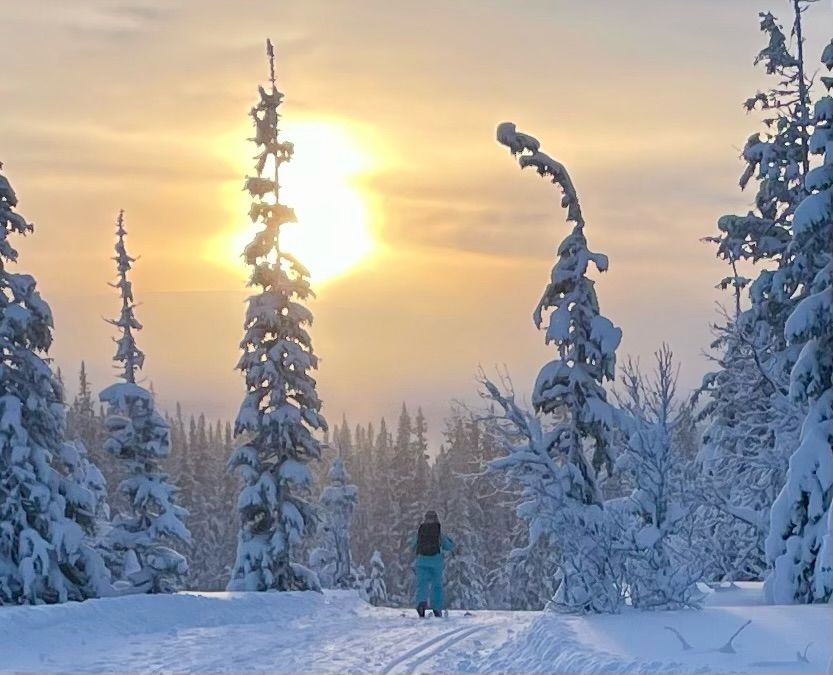 Fjällstuga i Edsåsdalen, Åre – bild 15 av 16