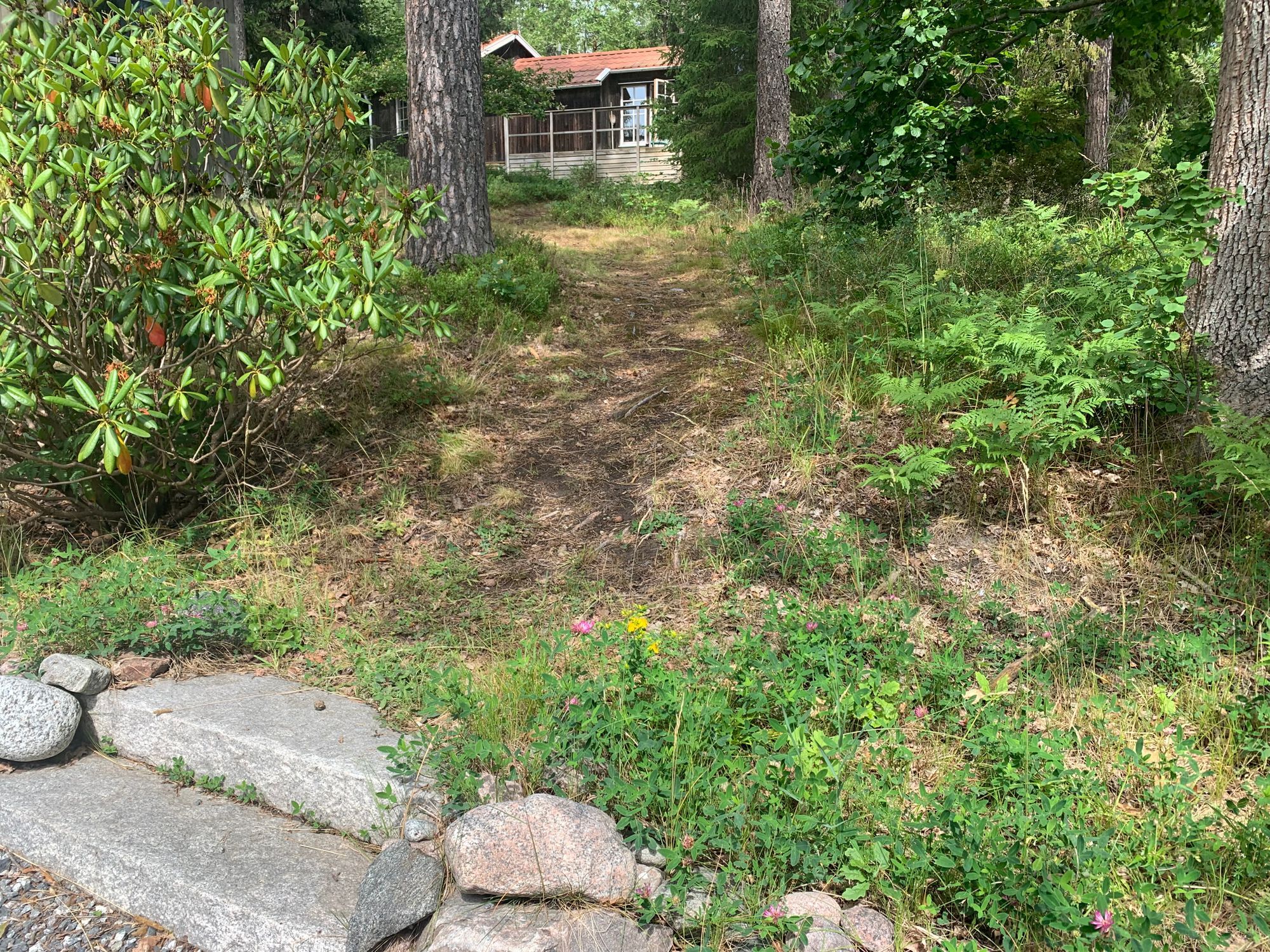 Kustnära och trivsam Gäststuga vid skogsbrynet – bild 2 av 24