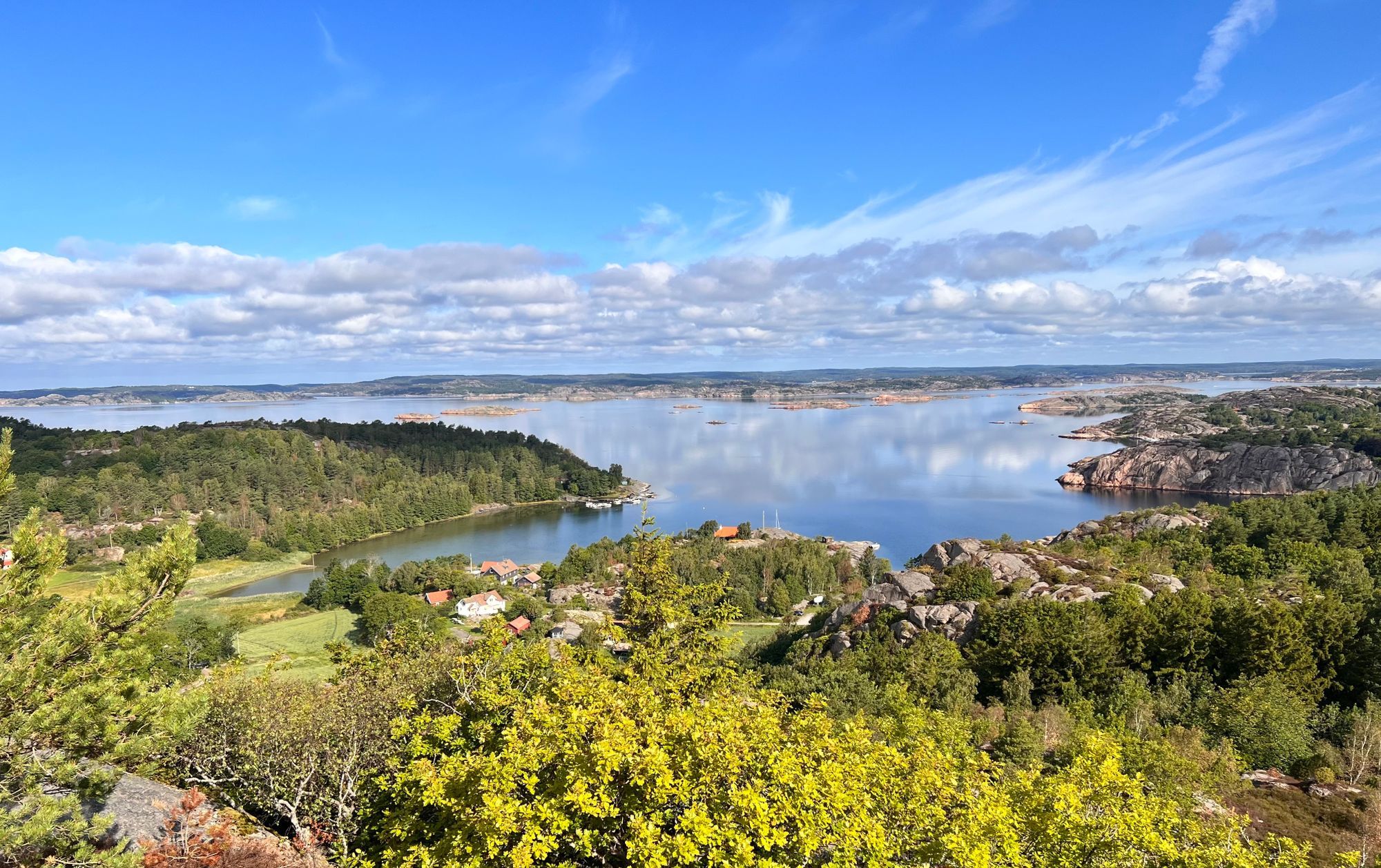 Skogsbrynet – bild 23 av 24