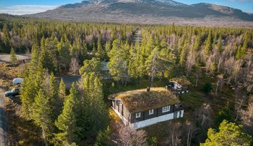 Snasahögarnas Fritidsby, Storulvån, timmerstuga