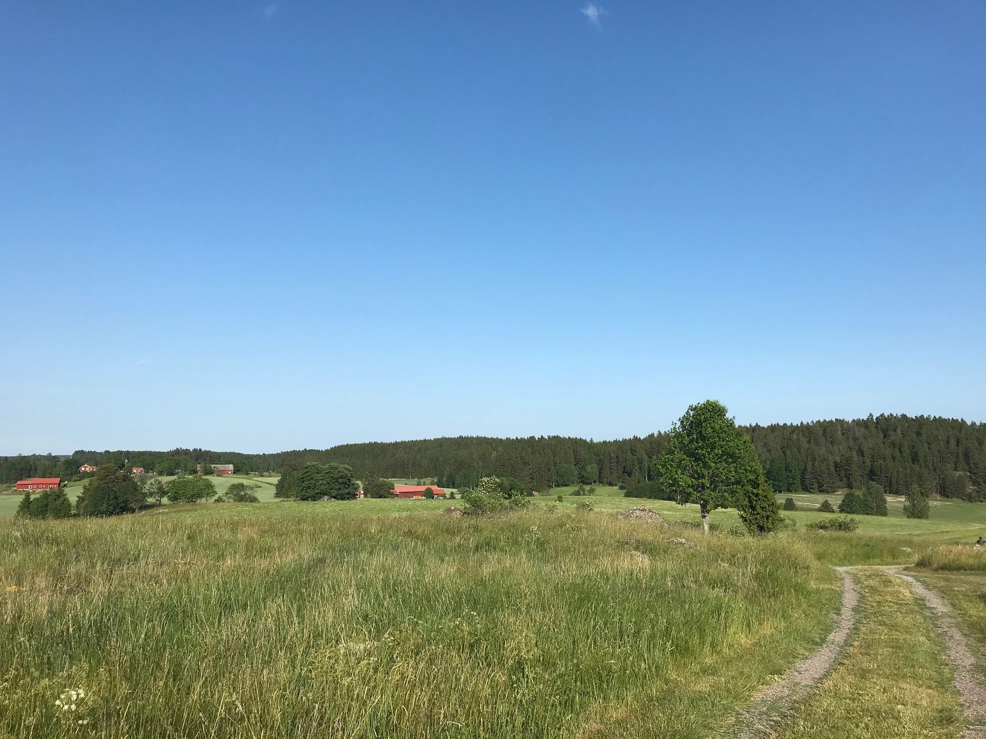 Mysig stuga i lantlig miljö – bild 9 av 10