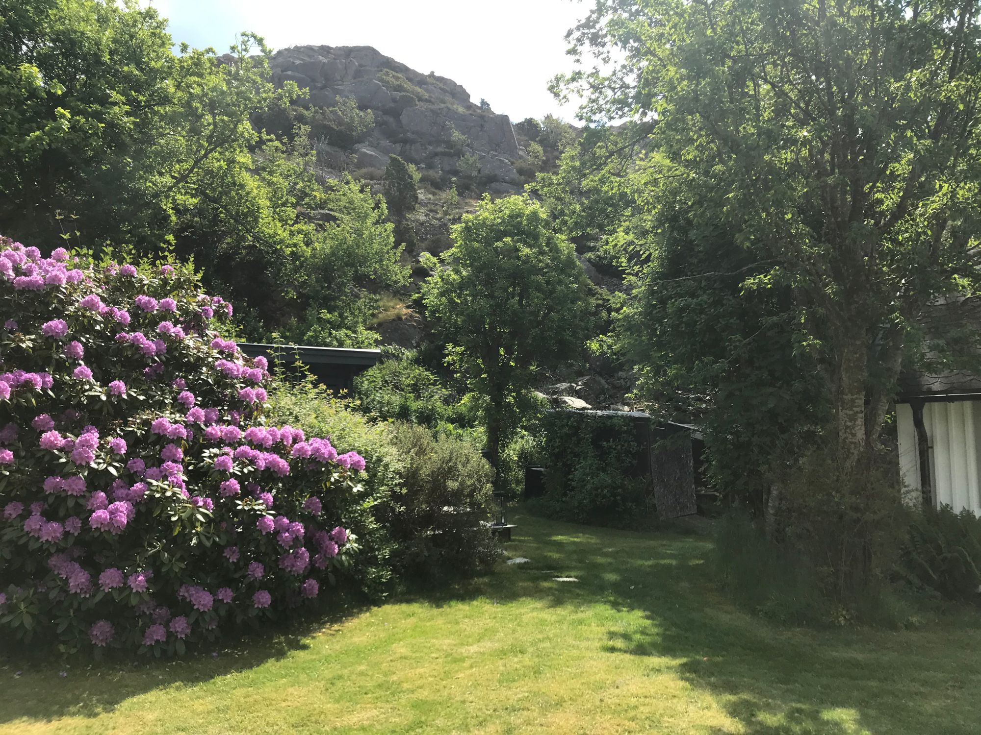 Sommarparadis i Fiskebäckskil, vid Gullmarsfjorden – bild 19 av 20