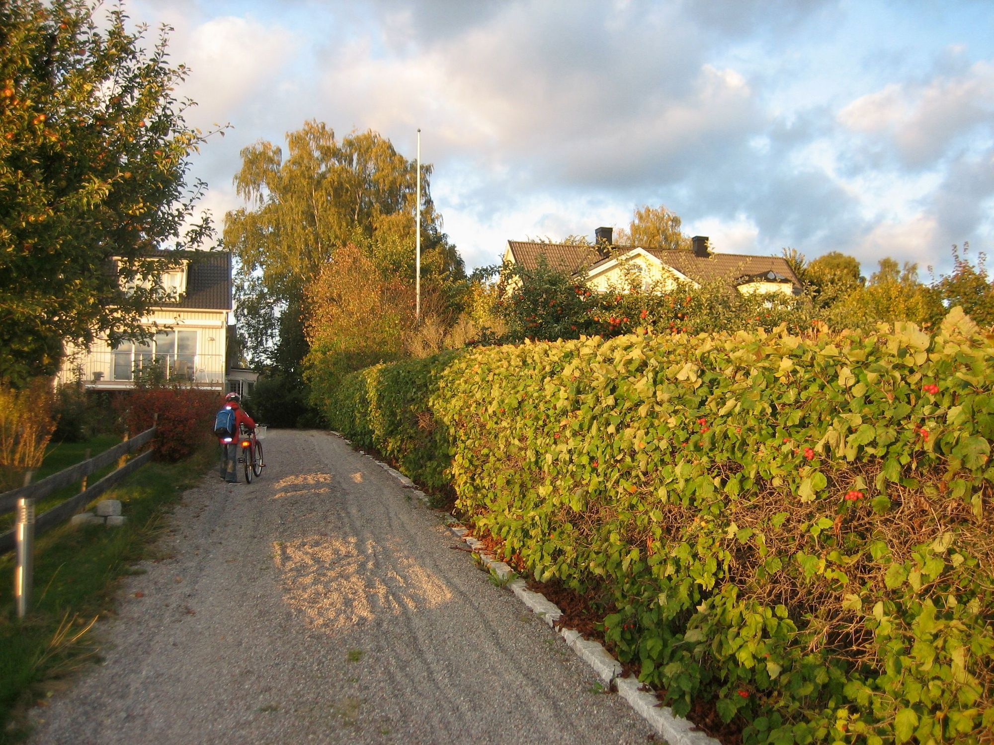 Stort hus nära Stockholm, vatten, bad och natur – bild 11 av 13