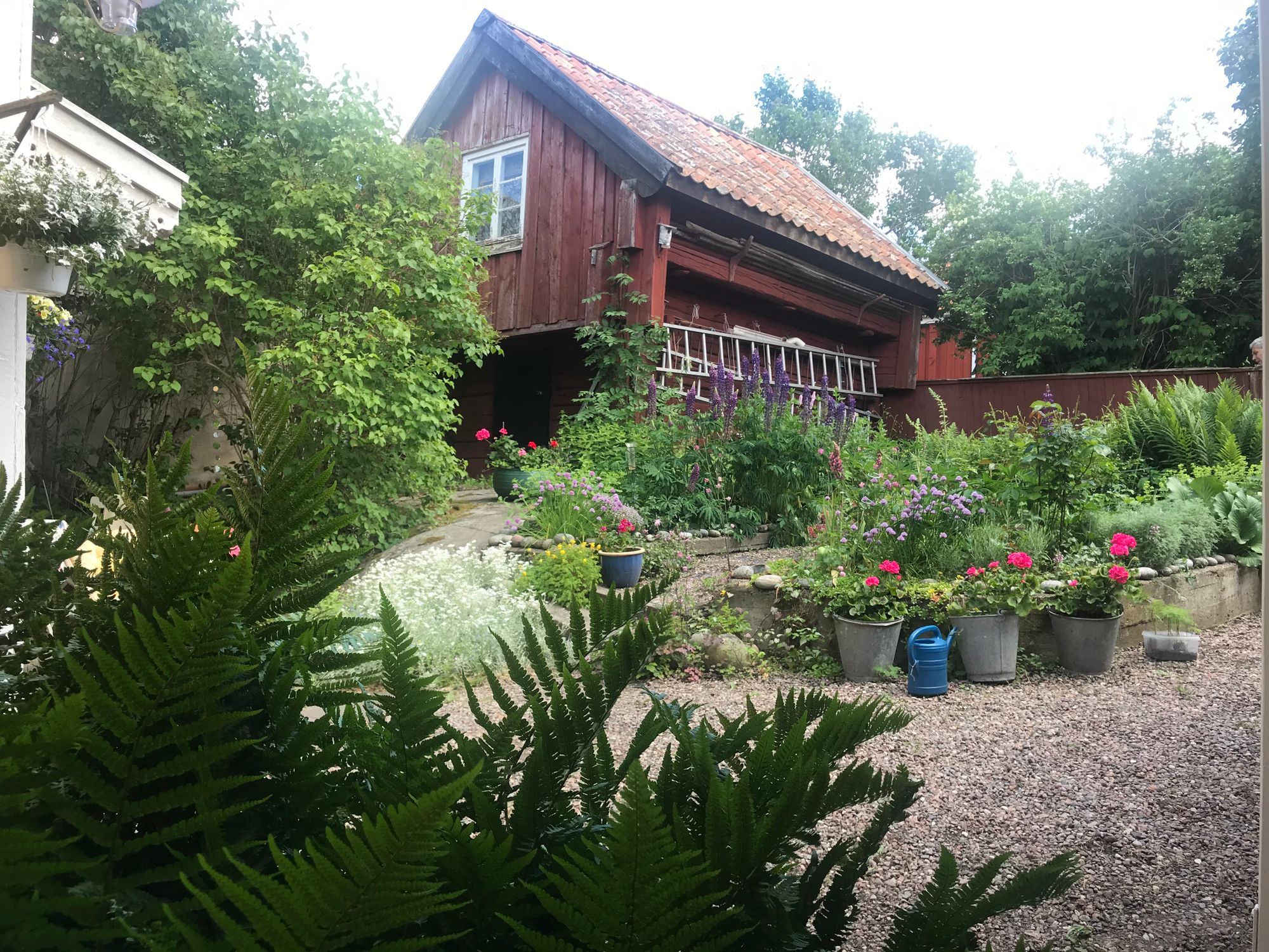 Charmig lägenhet i Öregrunds hamn