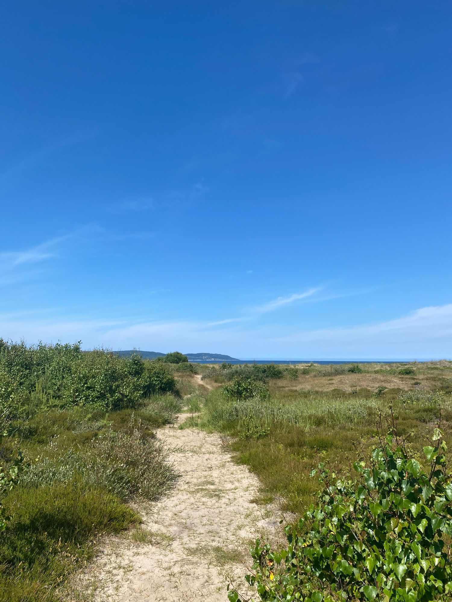 Mysig stuga i Båstad – bild 18 av 19