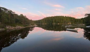 Idyllisk sommarstuga mitt i naturen vid sjökanten