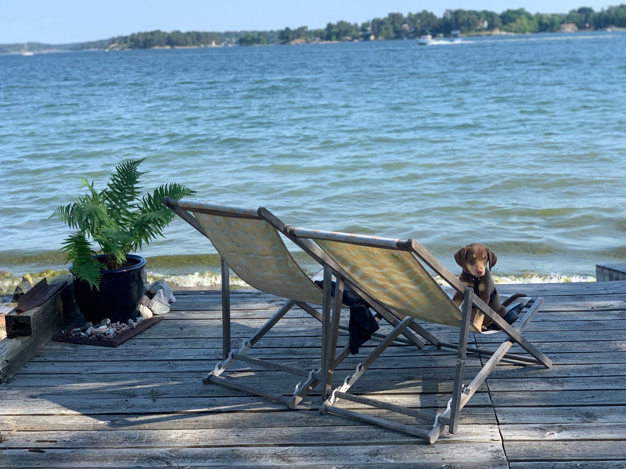 Stuga i vacker skärgårdsmiljö vaxholm – bild 20 av 24