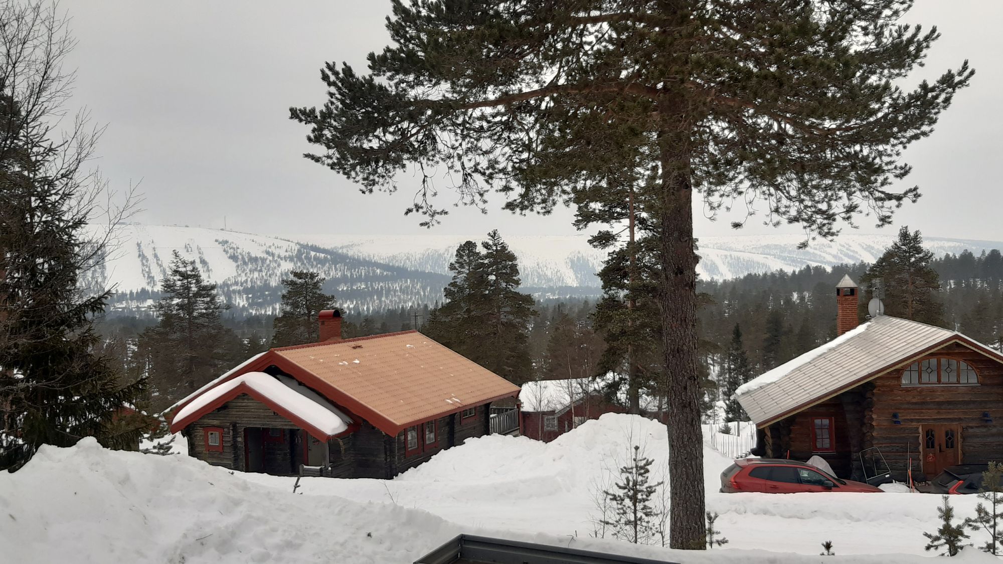 Myrflodammen m. utsikt över Tandådalen/Hundfjället – bild 6 av 6