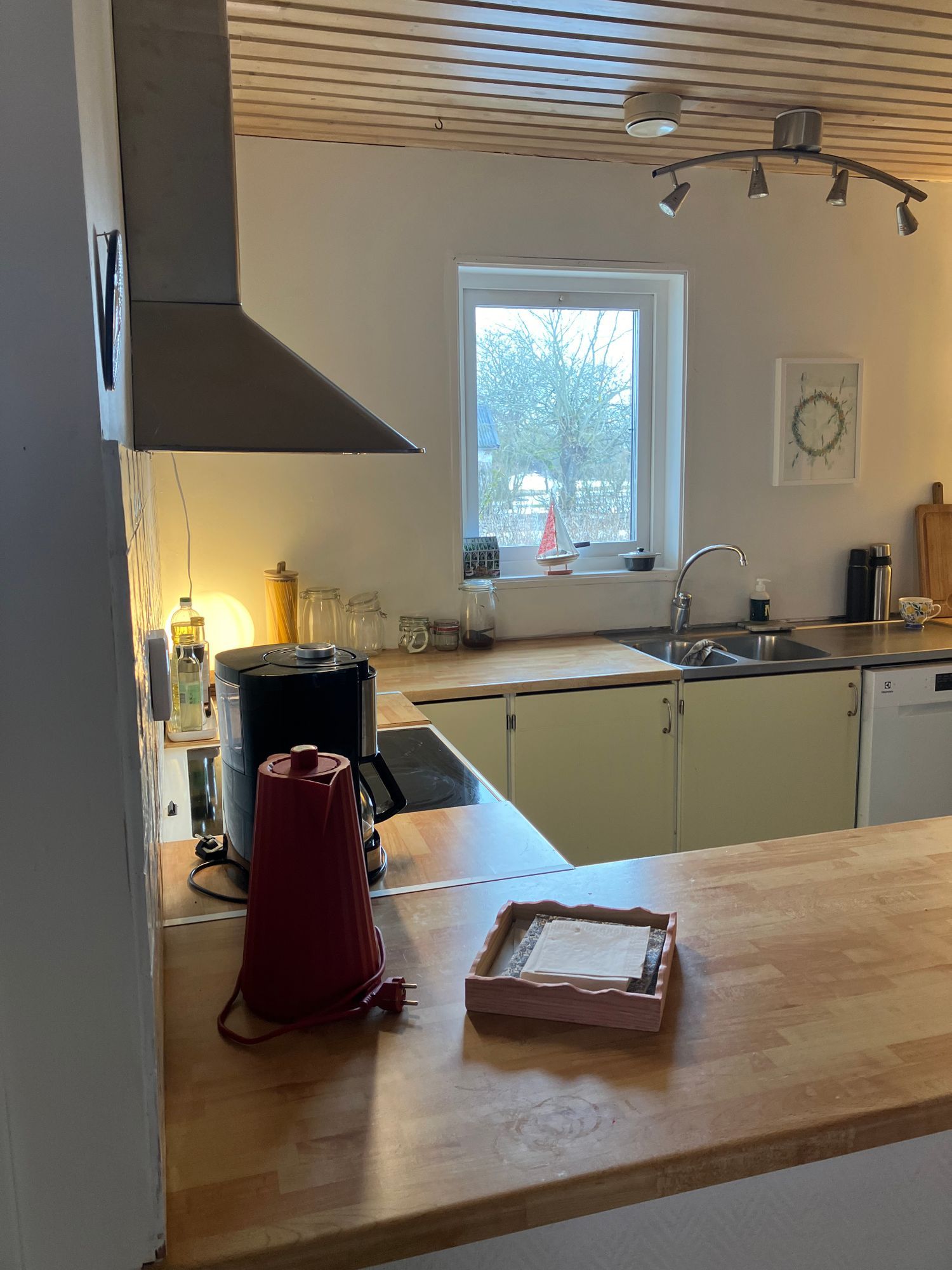 Hus vid Alvarets kant- fågelskådare – bild 8 av 19